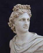 sculptuur, Busto Apollo del Belvedere - 46 cm - Opnieuw