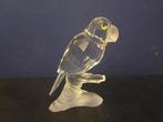 Swarovski - Beeldje - Parrot - 119443 - Boxed - Kristal, Antiquités & Art