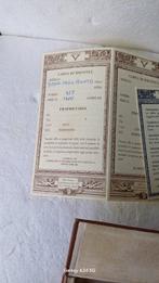 Visconti, dessai limited - Vulpen, Nieuw