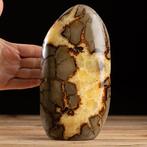 Septaria - Calcite et Aragonite - Forme libre - Hauteur :, Verzamelen