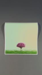 Téber - High Society (Apple), Antiek en Kunst