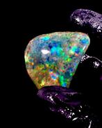 opale wello polie 63,04 carats PREMIUM - opale de cristal de, Verzamelen