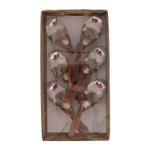 Vogeltjes op clip 12.5x3.5x3.5cm 6pc -Donkerbruin Dark brown, Hobby & Loisirs créatifs