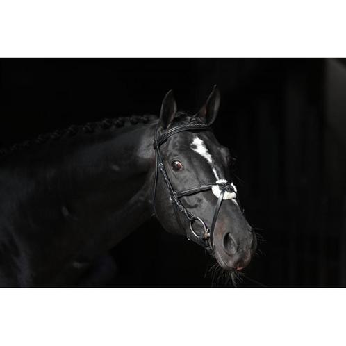 Bridon cancun noir pony - kerbl, Dieren en Toebehoren, Paarden en Pony's | Overige Paardenspullen