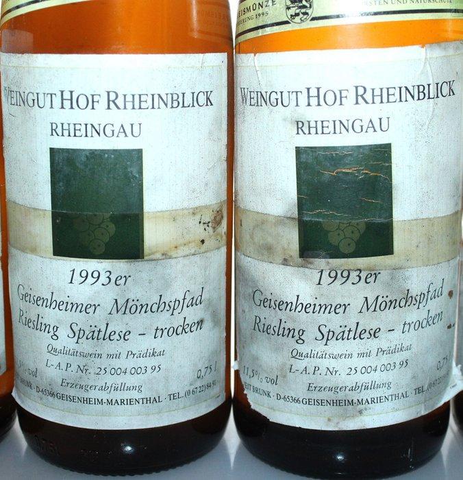 1993 Riesling Spätlese trocken (dry) - Geisenheimer, Collections, Vins
