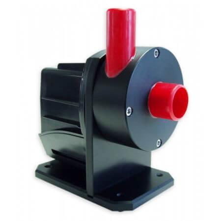 Red Dragon 10000, Dieren en Toebehoren, Vissen | Aquariumvissen