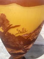 Vase - Verre - Vaas de style Galle, Antiek en Kunst