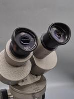 Olympus Tokyo – Stéréomicroscope VSN avec optique zoom