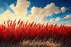 CoCo - Red Reeds - XXL