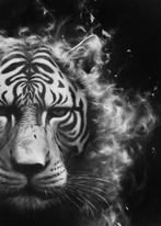 Hector C . (XX-XXI) - Tigre. El rugido del silencio, Huis en Inrichting, Nieuw