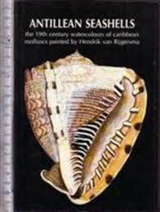 Antillean seashells 9789060116166 Coomans, Livres, Science, Envoi