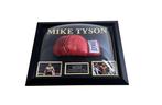 Boxe - Mike Tyson - Gant de boxe, encadré - Pas de prix de