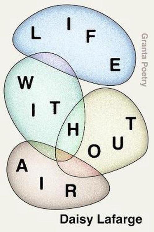 Life Without Air 9781783786336 Daisy Lafarge, Boeken, Taal | Engels, Zo goed als nieuw, Verzenden