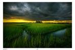 Elena Paraskeva - A Brewing Storm - XL, Antiek en Kunst, Kunst | Schilderijen | Modern