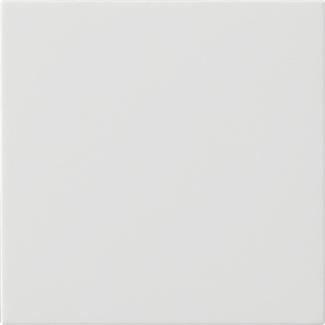 Gira Systeem 55 Enkele Wip Schakelaar Leeg Puur Wit - 537203, Doe-het-zelf en Bouw, Elektriciteit en Kabels, Verzenden