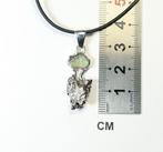 Moldavite / Météorite Campo del Cielo Nouveau / remorque -