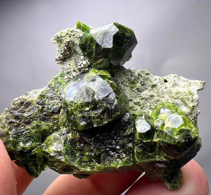 Groene granaat, volledig beëindigd kristal Kristal op matrix, Verzamelen, Mineralen en Fossielen