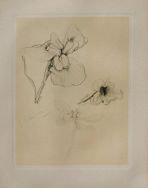 Georges Braque (1882-1963) - Les Iris, Antiek en Kunst, Antiek | Overige Antiek