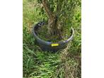 Quercus Subber Kurkeik - Sierboom, Tuin en Terras