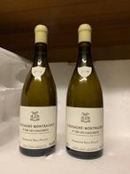 2018 Domaine Paul Pillot Les Caillerets - Bourgogne 1er, Nieuw
