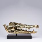 sculptuur, Saltwater Crocodile Skull fashioned in bronze, on