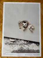 Ryan Gander - Official Poster Exhibition Bourse de Commerce