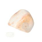 Fossiel Koraal trommelsteen Nr 24 - 27 gram, Verzenden