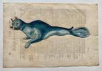 Ulisse Aldrovandi - De Piscibus Libri V - 1638, Antiek en Kunst