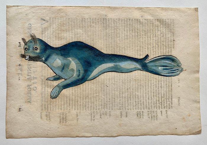 Ulisse Aldrovandi - De Piscibus Libri V - 1638, Antiek en Kunst, Antiek | Boeken en Manuscripten