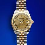 Rolex - Oyster Perpetual Datejust 31 Champagne Concentric
