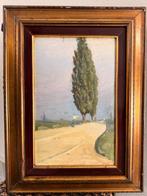 Vittore Zanetti Zilla (1864-1946) - I due Cipressi, Antiek en Kunst
