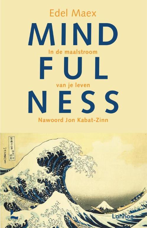 Mindfulness 9789020965162, Livres, Ésotérisme & Spiritualité, Envoi