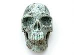 Lotus Jaspis schedel Museum Quality Gesneden schedel -