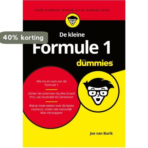 De kleine Formule 1 voor Dummies 9789045356914 Joe van Burik, Boeken, Hobby en Vrije tijd, Zo goed als nieuw, Verzenden