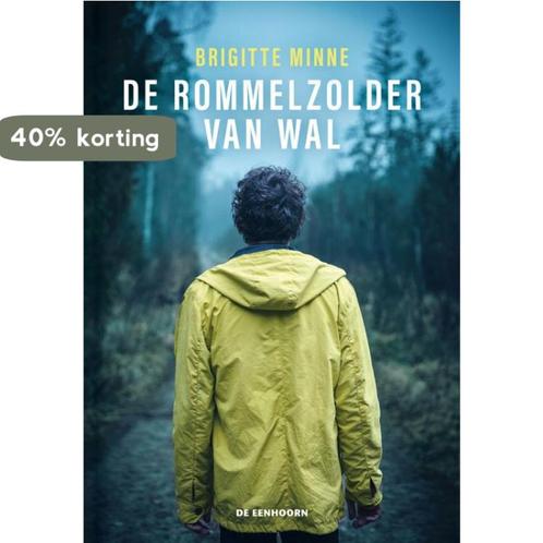 De rommelzolder van Wal 9789462915947 Brigitte Minne, Boeken, Kinderboeken | Jeugd | 13 jaar en ouder, Zo goed als nieuw, Verzenden