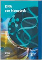 DNA een blauwdruk 9789077423080 A.L.B.M. Biemans, Boeken, Verzenden, Gelezen, A.L.B.M. Biemans