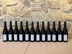 2016 Leonardo Bussoletti, Pinot Nero - Umbrië - 12 Flessen, Nieuw