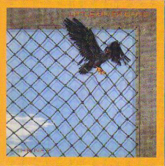 Little River Band - The Net, Cd's en Dvd's, Cd's | Pop, Gebruikt, Verzenden