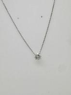 Sans Prix de Réserve - Collier avec pendentif - 14 carats Or