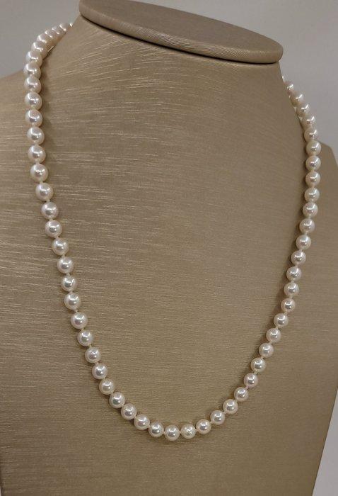 Halsketting 5,5x6 mm heldere Akoya parels, Handtassen en Accessoires, Kettingen