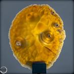 Natuurlijke carneool agaat schijf – stralend natuurkunstwerk