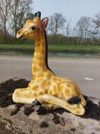 Beeld, lying lifelike baby giraffe - 57 cm - polyresin, Antiek en Kunst