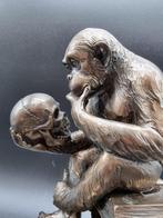 Beeld, Darwin Monkey with Skull - 18 cm - Polystone,