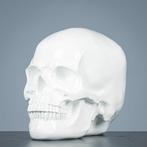 Figuur - Decoratieve grote witte schedel - polystone