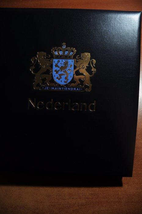 Accessoires - Een leeg luxe DAVO album met cassette en, Postzegels en Munten, Postzegels | Nederland
