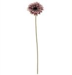 Gerbera 53 cm Mauve Zijden bloemen / st, Huis en Inrichting, Nieuw