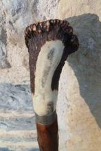 Wandelstok - Hout, Hoorn, Metaal - Houten wandelstok met