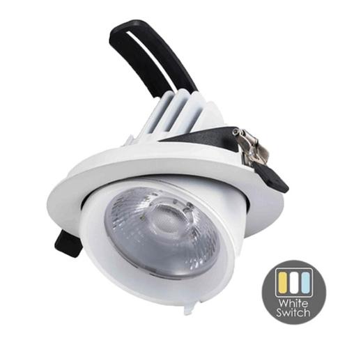 LED Downlighter White-Switch 30W Wit, Maison & Meubles, Lampes | Autre, Envoi