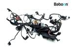 Kabelboom BMW F 650 CS Scarver (F650CS 02-04) (7660286), Gebruikt