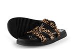 Steve Madden Pantoffels in maat 41 Panter | 5% korting, Kleding | Dames, Schoenen, Overige kleuren, Verzenden, Steve Madden, Zo goed als nieuw